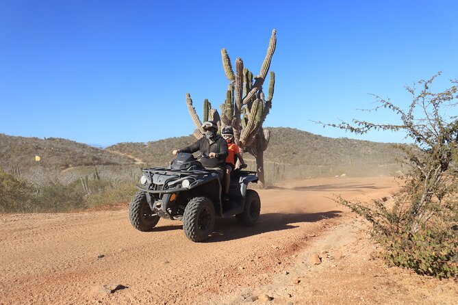 Los Cabos - COMBO Horseback Riding & ATV Tour - What the strongest praise tells you