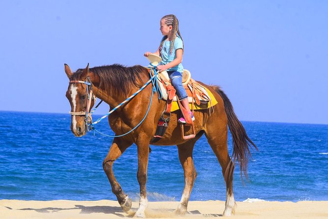 Los Cabos - COMBO Horseback Riding & ATV Tour - ATV trails through Baja’s dry country