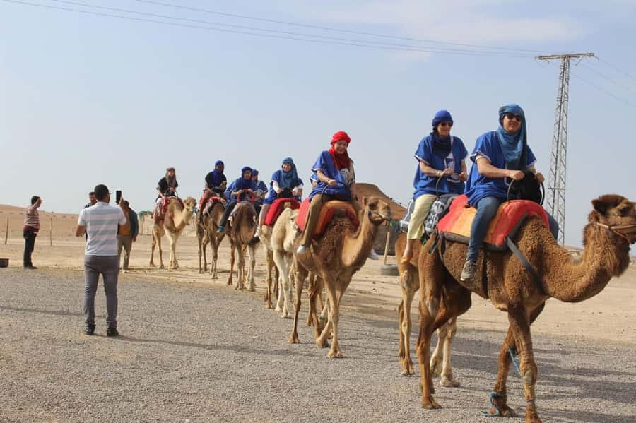 Luxury Agafay Desert : Quad , Camel Ride, Pool & Dinner Show - Pickup from Marrakesh and the ride to Agafay