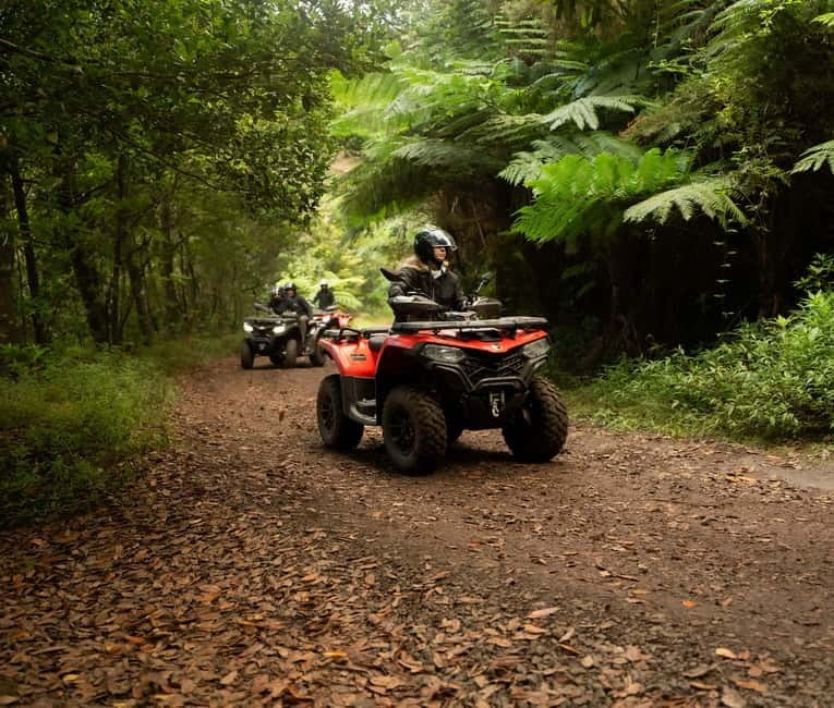Madeira: Aventura Off-Road de ATV ou Quad - Adrenalina - Five things to know before you book
