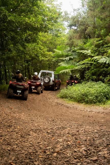 Madeira: Aventura Off-Road de ATV ou Quad - Adrenalina - Casa das Funduras and Madeira’s forest tracks