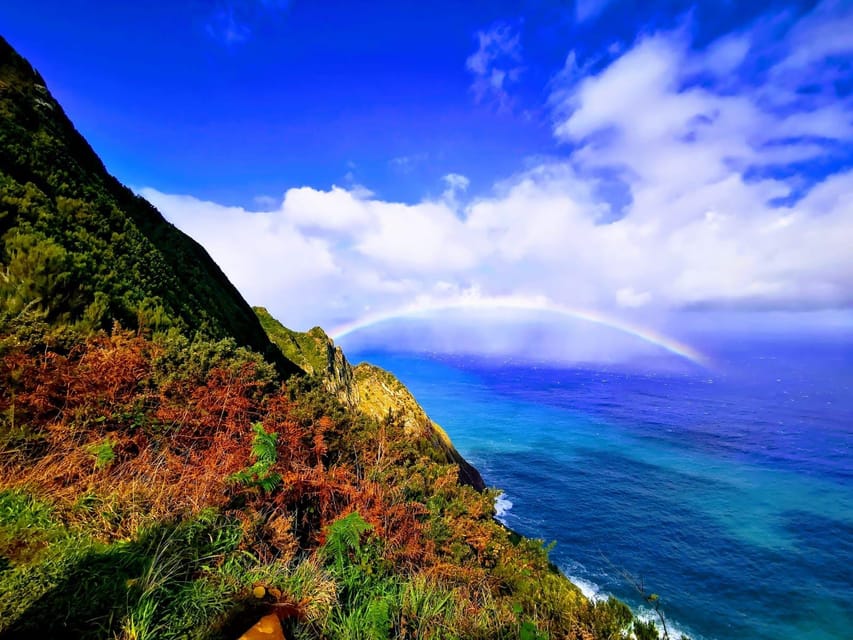 Madeira E-Buggy Adventure: 4x4 thrill & epic views! Book now - Why the electric buggy changes the ride