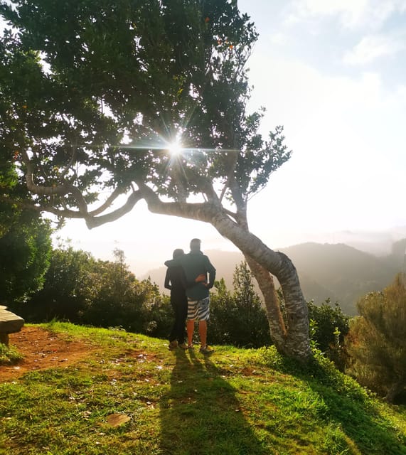 Madeira E-Buggy Adventure: 4x4 thrill & epic views! Book now - Two and a half hours on Madeira’s mountain trails