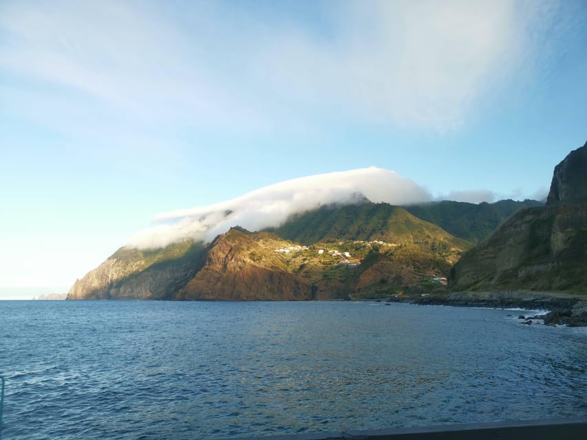Madeira E-Buggy Adventure: 4x4 thrill & epic views! Book now - Laurissilva Forest without the engine roar