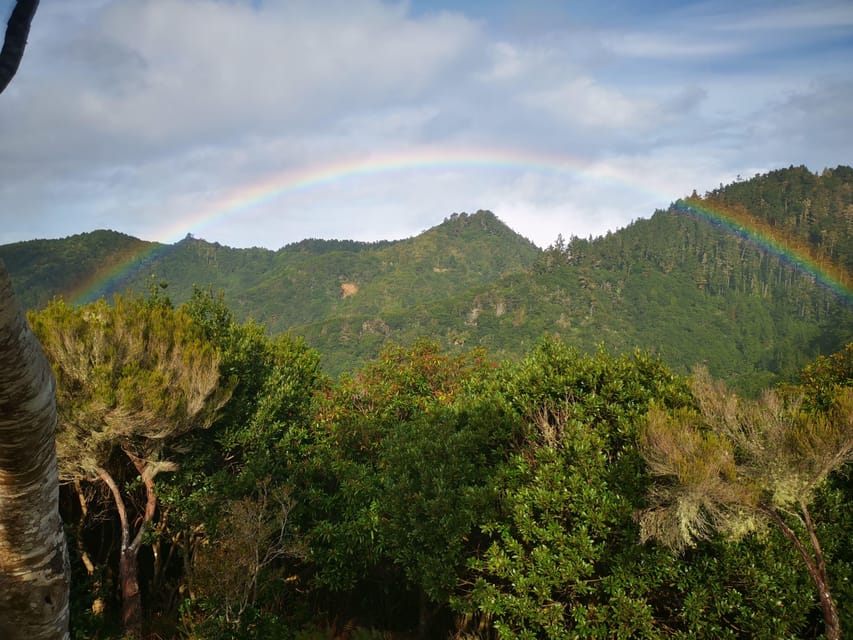 Madeira E-Buggy Adventure: 4x4 thrill & epic views! Book now - Who should book this ride?