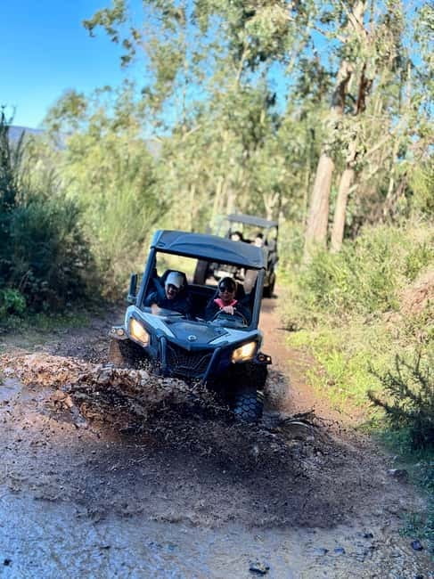 Madeira: Half-Day Off-Road Buggy Tour - Forest tracks and high viewpoints