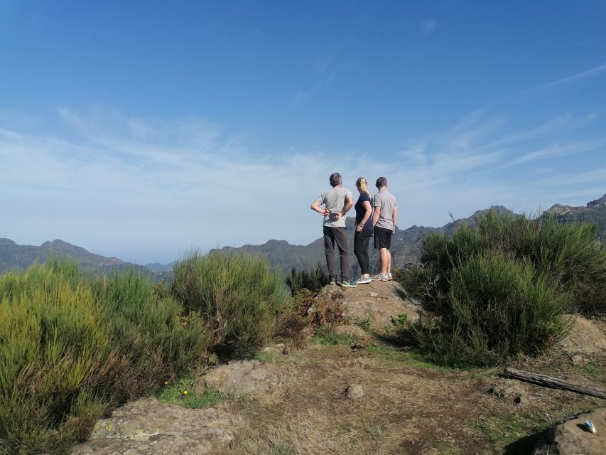 Madeira: Half-Day Off-Road Buggy Tour - Cabo Girão and the 580-meter sea cliff