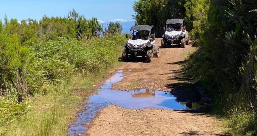 Madeira: Half-Day Off-Road Buggy Tour - Weather, mud, dust, and what to wear