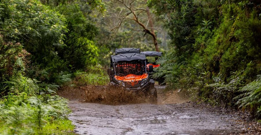 Madeira: Off-Road Buggy Adventure Through Laurissilva Forest - Why this forest buggy ride works so well