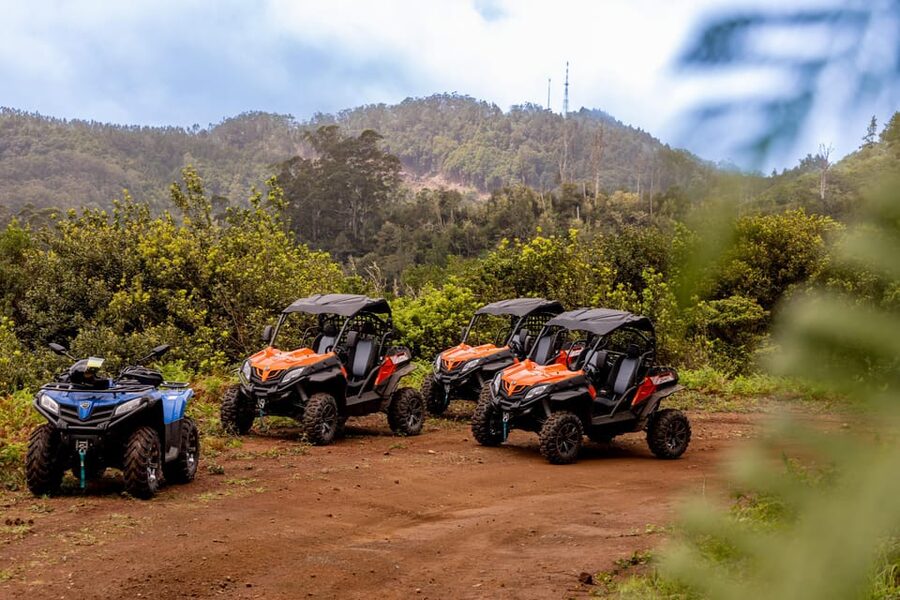 Madeira: Off-Road Buggy Adventure Through Laurissilva Forest - Casa das Funduras and the forest setting