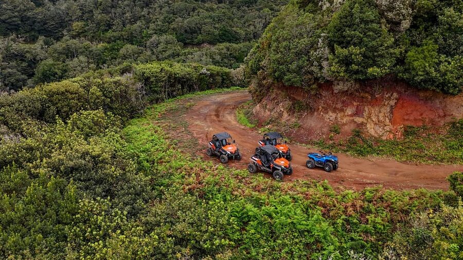Madeira: Off-Road Buggy Adventure Through Laurissilva Forest - Boca do Risco and the north-coast views