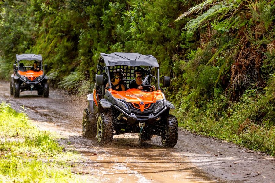Madeira: Off-Road Buggy Adventure Through Laurissilva Forest - The guides make the difference