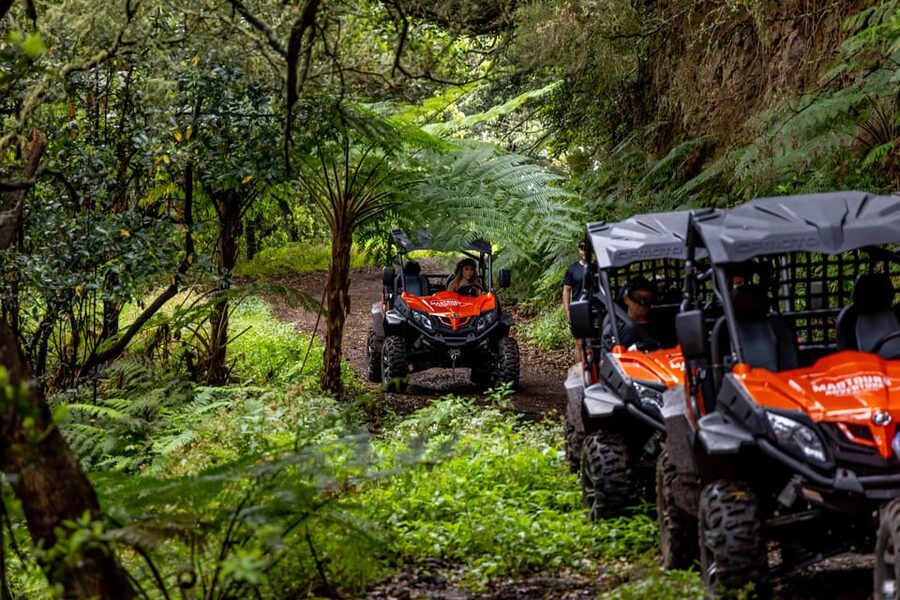 Madeira: Off-Road Buggy Adventure Through Laurissilva Forest - Safety, comfort, and the rough edges