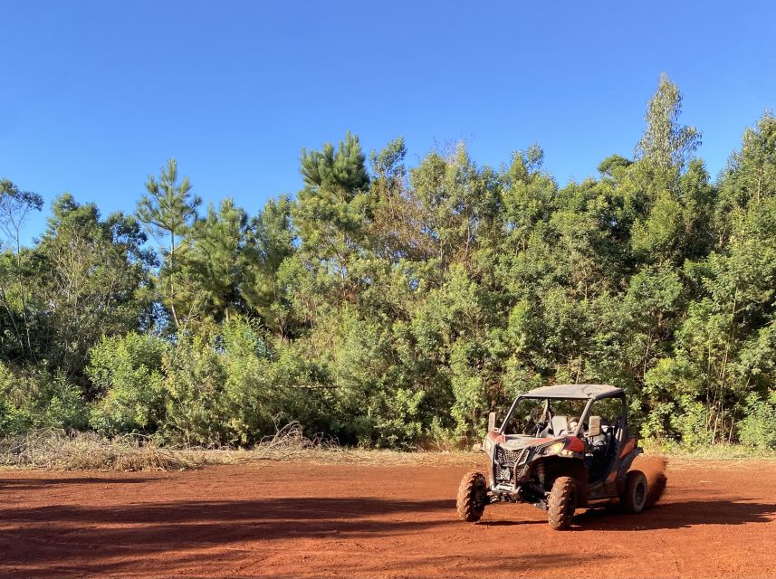 Madeira: Off-Road Buggy Driving Experience - Practical booking advice for Madeira