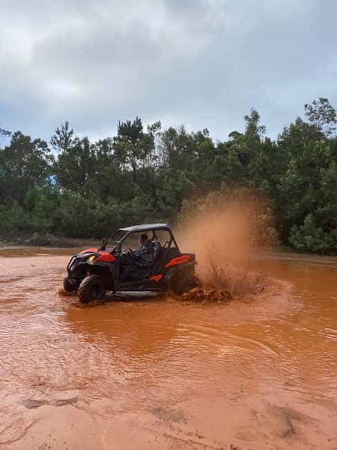 Madeira: Off-Road Buggy Driving Experience - Viewpoints and the short forest break