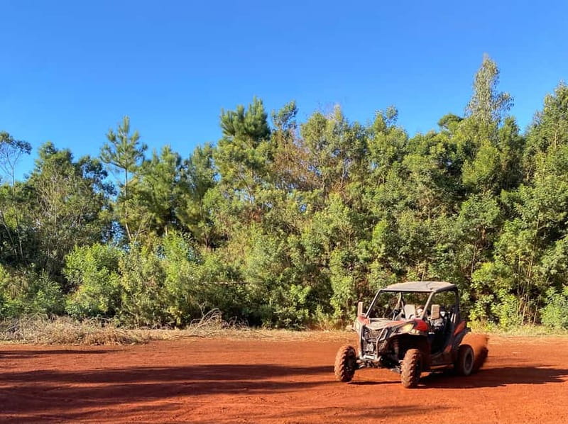 Madeira: Off-Road Buggy Driving Experience - How much value do you get for $176?