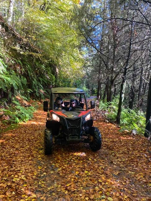 Madeira: Off-Road Buggy Driving Experience - Who will enjoy this most?