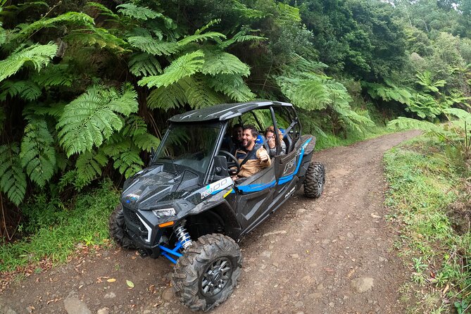 Madeira Private Buggy Adventure: Forest and Mountains - Why this Madeira buggy tour works