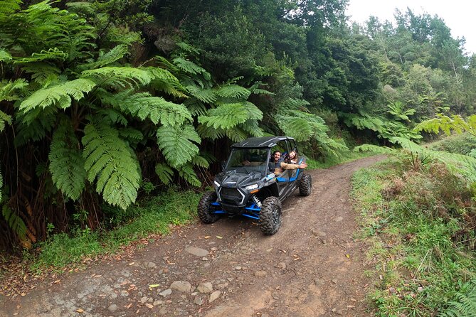 Madeira Private Buggy Adventure: Forest and Mountains - Starting at Saba Monumental in Funchal