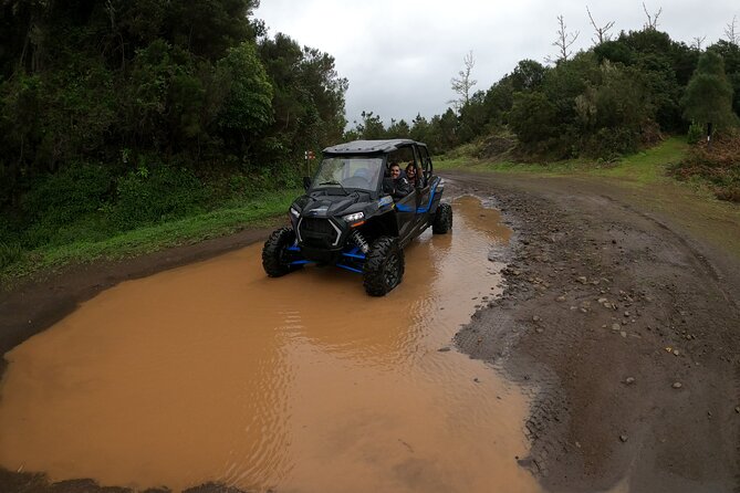 Madeira Private Buggy Adventure: Forest and Mountains - Roberto, the guide who shapes the day