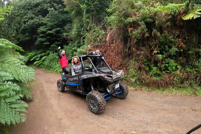 Madeira Private Buggy Adventure: Forest and Mountains - What the four-seat Polaris means for your group