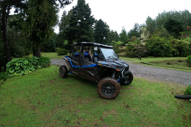 Madeira Private Buggy Adventure: Forest and Mountains - Photos, videos, and what to bring
