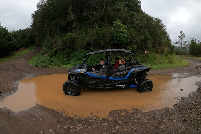 Madeira Private Buggy Adventure: Forest and Mountains - Is the $111.02 price good value?