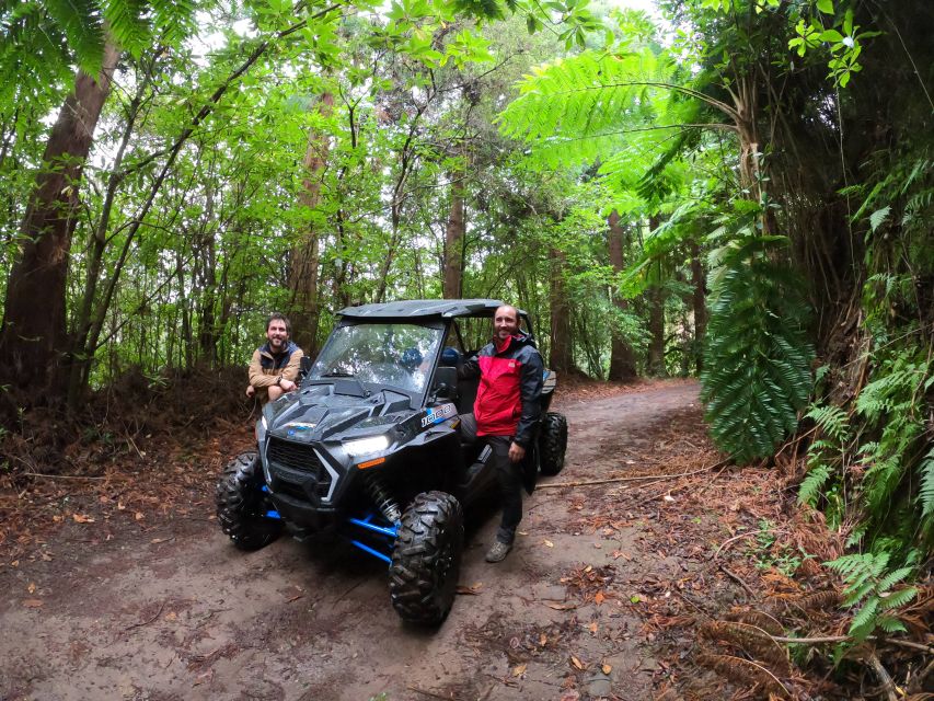 Madeira Private Buggy Adventure: Mountains and Forests - The $212 price and what you receive