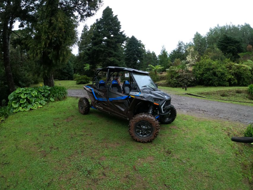 Madeira Private Buggy Adventure: Mountains and Forests - What this Madeira buggy tour is really like