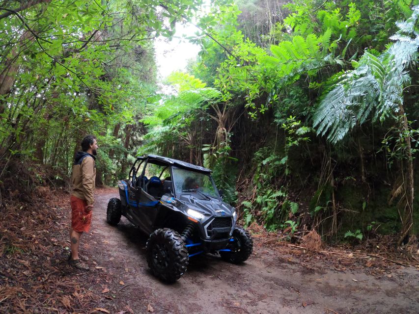 Madeira Private Buggy Adventure: Mountains and Forests - Lamaceiros Lagoon and Portela Viewpoint