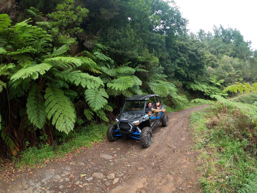 Madeira Private Buggy Adventure: Mountains and Forests - Through Serra das Funduras and the Laurissilva Forest