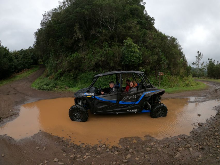 Madeira Private Buggy Adventure: Mountains and Forests - Santo da Serra and the return to Funchal