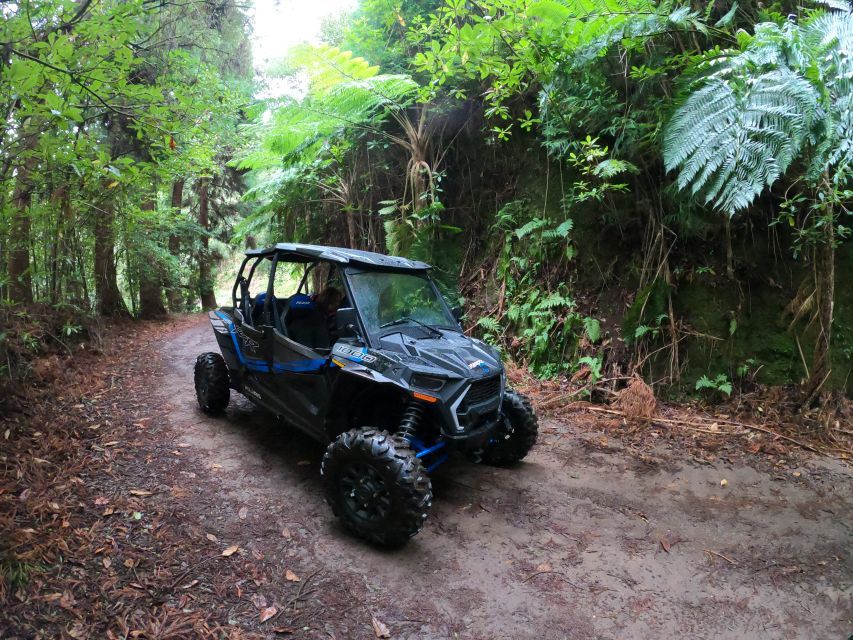 Madeira Private Buggy Adventure: Mountains and Forests - How much driving do you actually get?