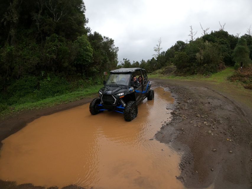 Madeira Private Buggy Adventure: Mountains and Forests - From Funchal to Pico Alto