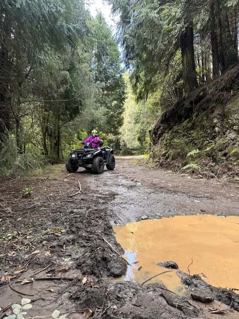 Madeira:Private Mountain Quad Adventure–Explore Wild Madeira - Learning the quads before the forest