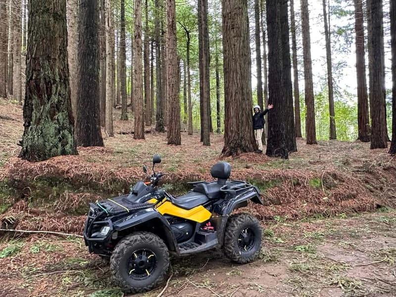 Madeira:Private Mountain Quad Adventure–Explore Wild Madeira - Who gets the best value from this Madeira adventure?