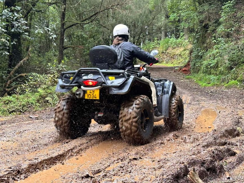 Madeira:Private Mountain Quad Adventure–Explore Wild Madeira - Entering Madeira’s ancient laurel forest