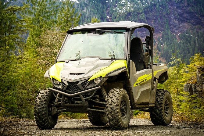Mahoney Lake Off-Road UTV Tour - Ketchikan views before the forest