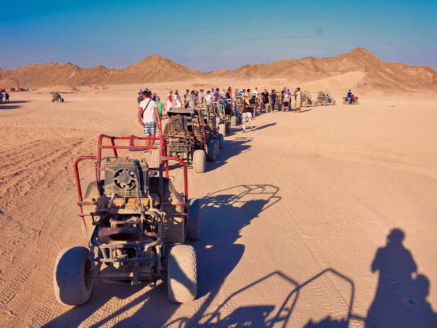 Makadi Bay: ATV, Sea View, Camel, Stargazing, Dinner & Show - Key points to know before booking