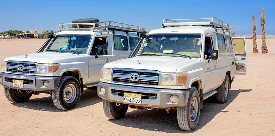 Makadi Bay: Mega Tour Jeep, ATV, Buggy, Camel, Dinner & Show - Buggy riding adds another burst of activity