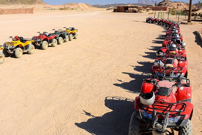 Makadi Bay: Sunset Quad & ATV Adventure & Seaview - The camel ride is short but useful