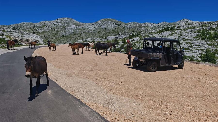 Makarska: Buggy Skywalk and Biokovo Tour - Croatia’s first Skywalk at 1,228 meters
