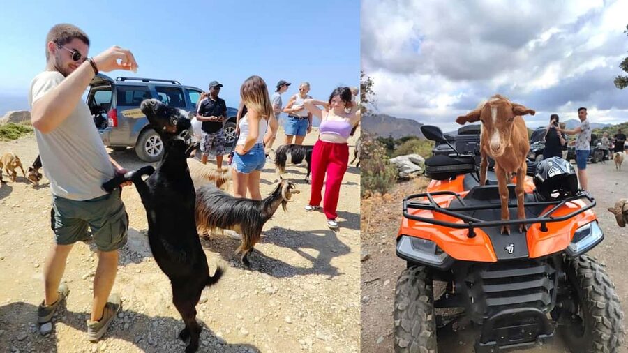 Malia: Off-Road Quad Safari Tour with Lunch and Transfers - From Malia into olive groves and vineyards