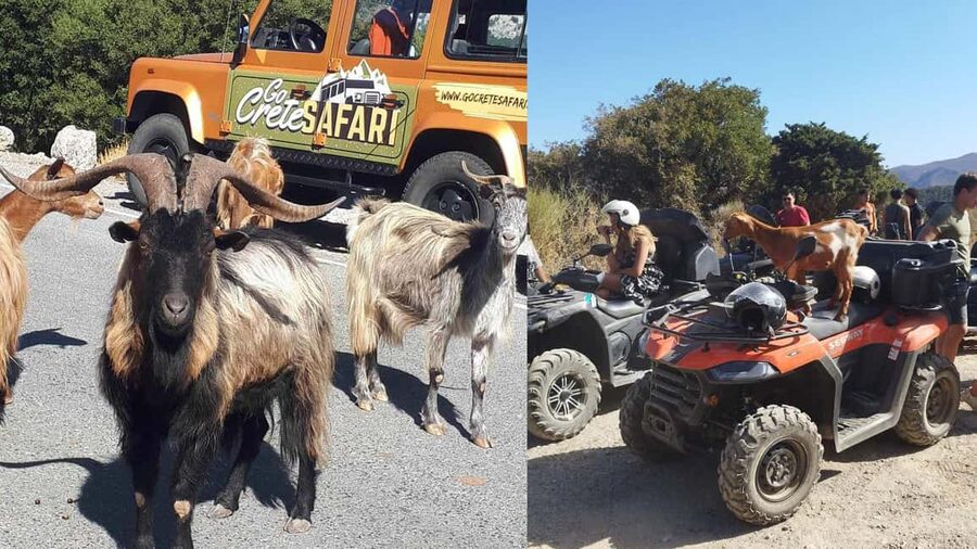 Malia: Off-Road Quad Safari Tour with Lunch and Transfers - Pickup from Malia and nearby resorts
