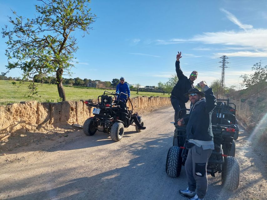 Mallorca: Buggy Tour Adventure with Cove Swimming - Quick points before you book