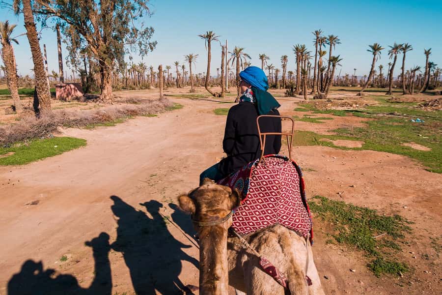 Marrakech: 2-Hour Quad Bike & Camel Ride in Palmeraie - From Marrakech to the Palmeraie in 30 minutes