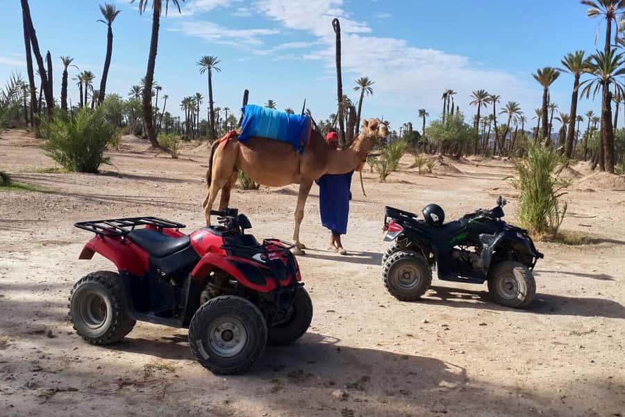 Marrakech: 2-Hour Quad Bike & Camel Ride in Palmeraie - Jilbabs, scarves, and a cup of mint tea