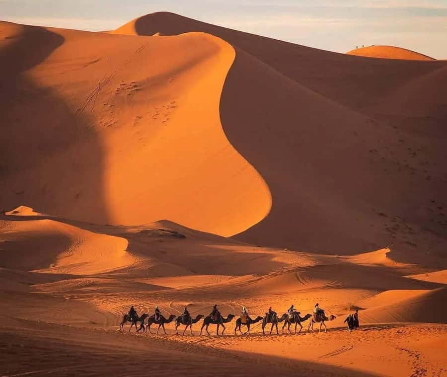 Marrakech: 3-day Exclusive Desert Luxury Tour; Quad & Camels - Todgha Gorge and the road to Merzouga