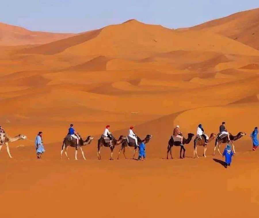 Marrakech: 3-day Exclusive Desert Luxury Tour; Quad & Camels - How good is the value at $79?