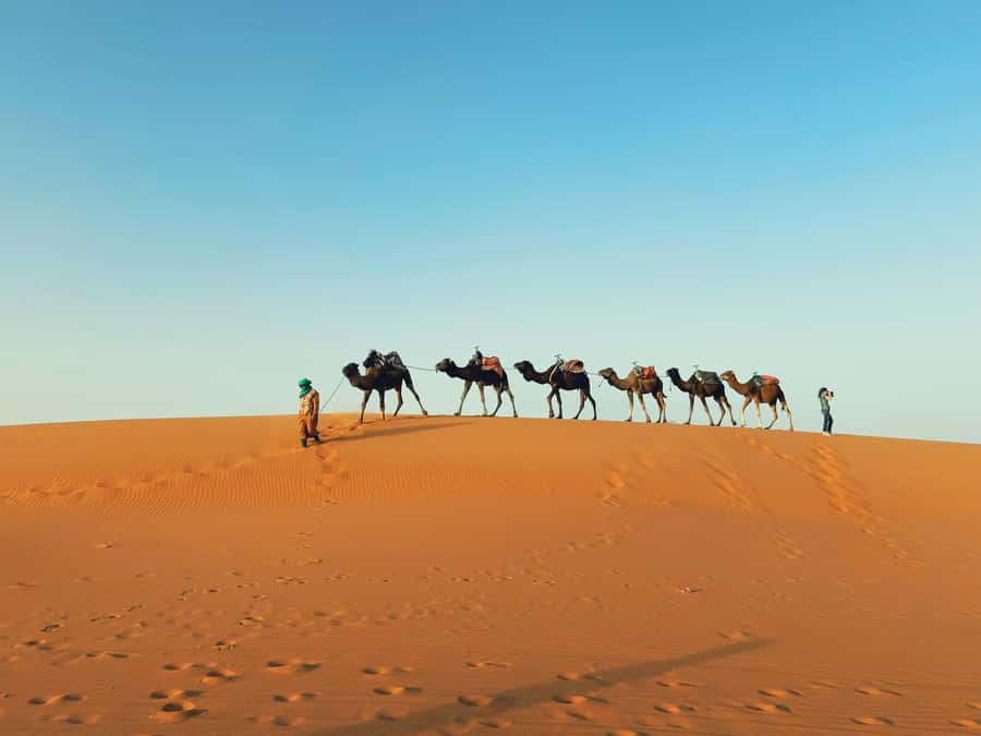 Marrakech: 3-day Merzouga Desert, Camel, Quad & Privat Tent - Key points to know before booking